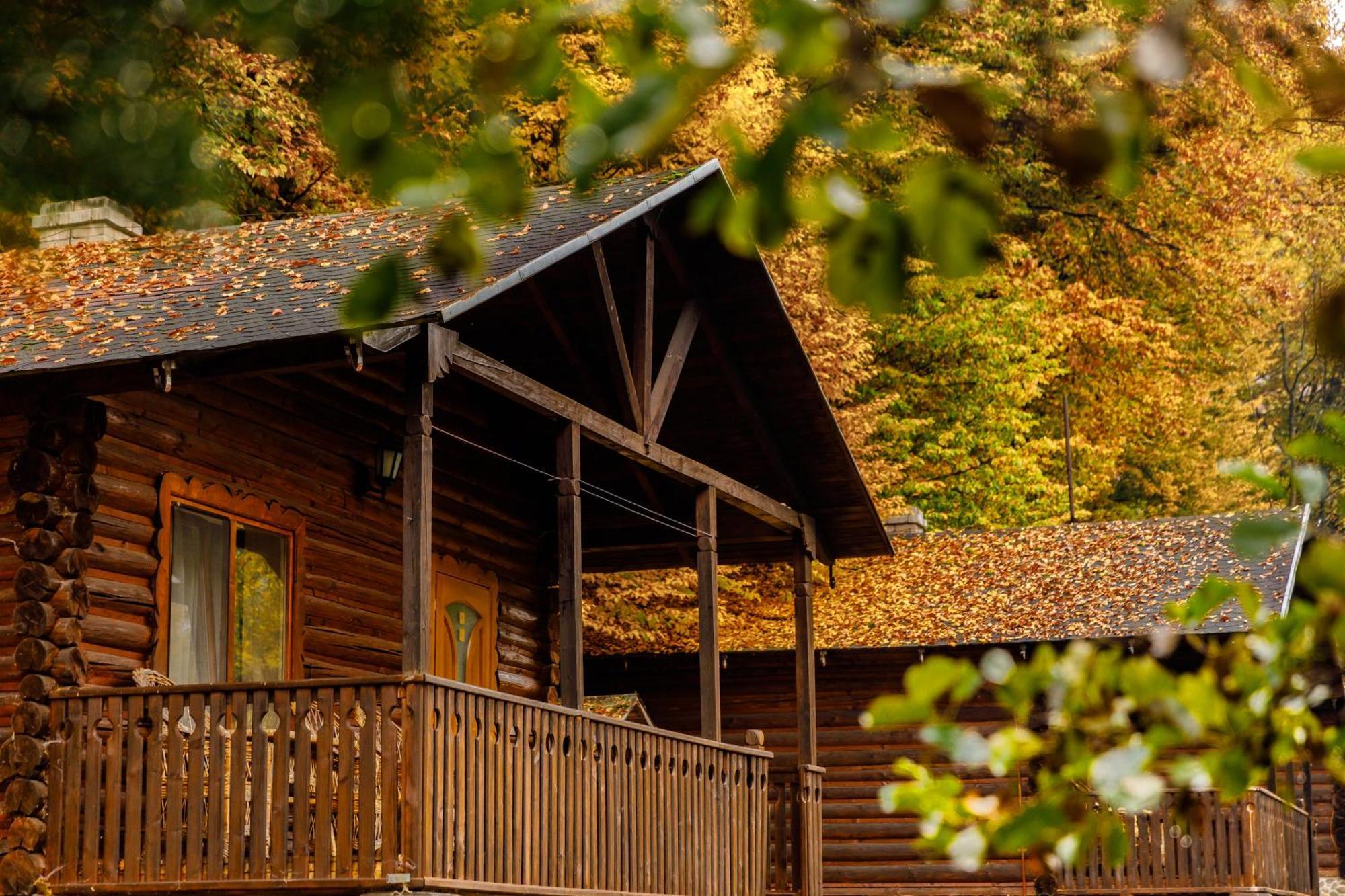 Voevodyno Resort Turjavágás Kültér fotó